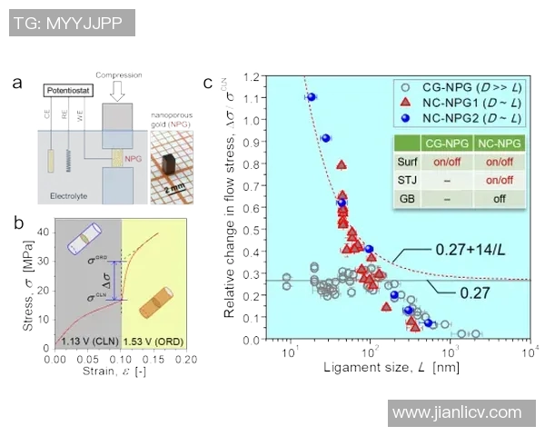 亚马尔地区的战略意义与未来发展潜力探讨
