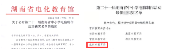 捷报！2020年永州市教学仪器站正在各项赛事中收效bd半岛体育斐然、硕果累累(图3)