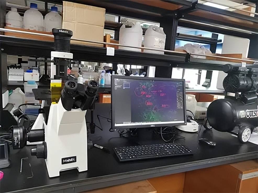 揭秘中邦高端科学bd半岛体育仪器是否仅靠进口保存(图1)