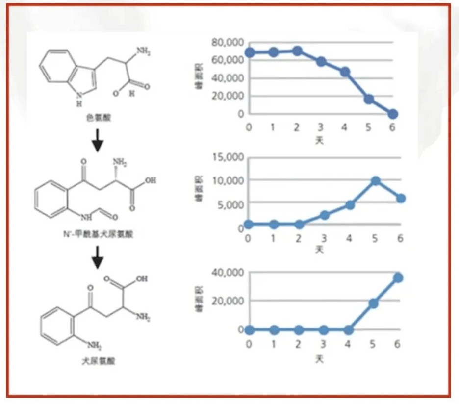 bd半岛体育大养分大壮健——乳成品科研仪器的运用计划(图2)