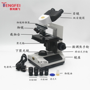 bd半岛体育教学仪器的分类与编号