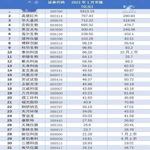 bd半岛体育邦内仪器行业上市公司市值排行榜第一竟超5000亿